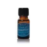 EUKALIPTUS 1