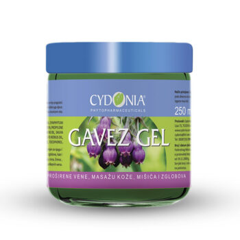GAVEZ GEL 250ml