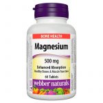 MAGNEZIJUM 500MG TBL A60