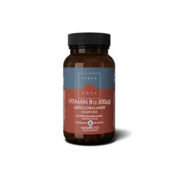 TERRANOVA VITAMIN B12 500 μg A50 KAPSULA