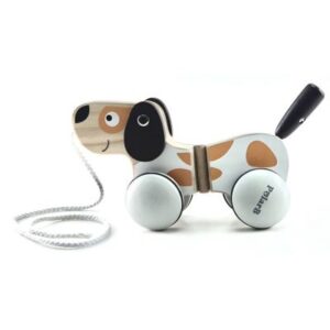 viga pas na povlačenje